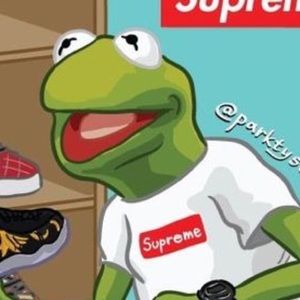 Meet your Posher, Teddy